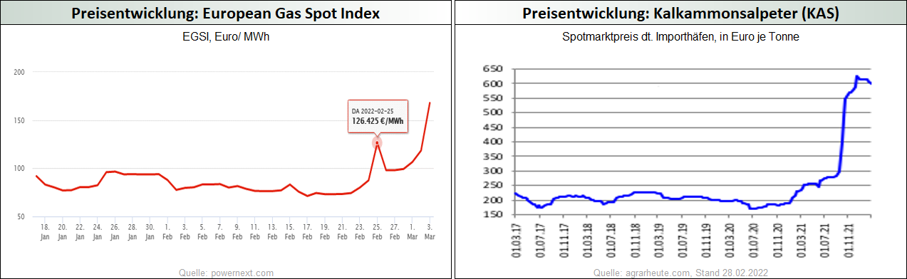Preisentwicklung European Gas Spot Index + Kalkammonsalpeter